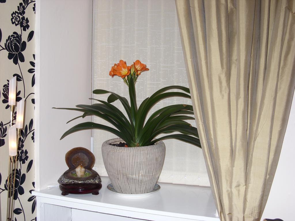Alba Guest House Абердин Экстерьер фото